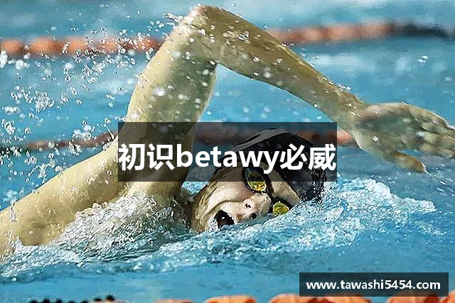 初识betawy必威
